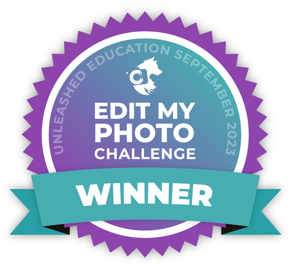 Edit My Photo Winner