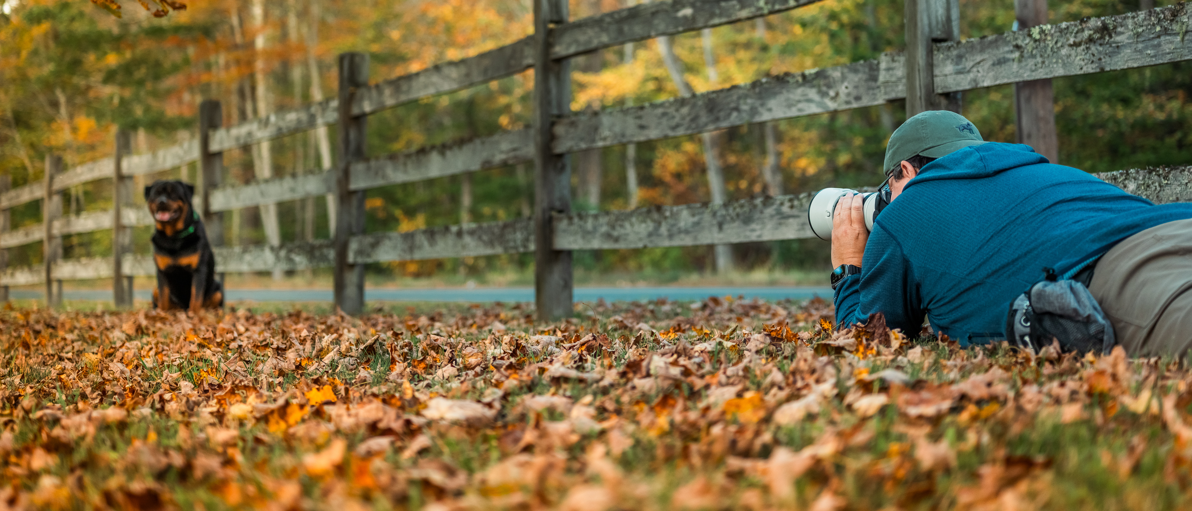 Pet photography session